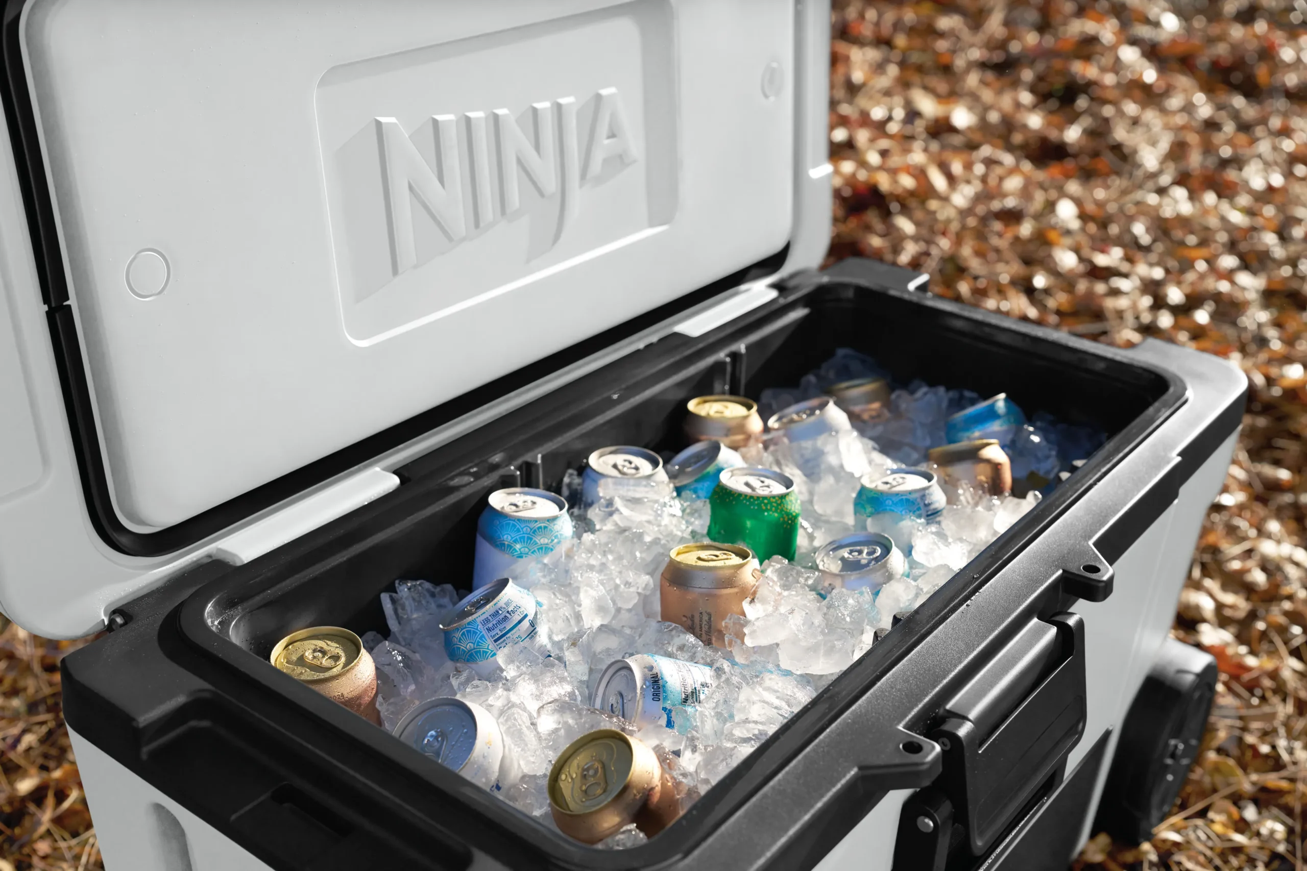 DAT-R_FB265UKWH_InUse_FallenLeaves_TopOpen_Ice_Drinks
