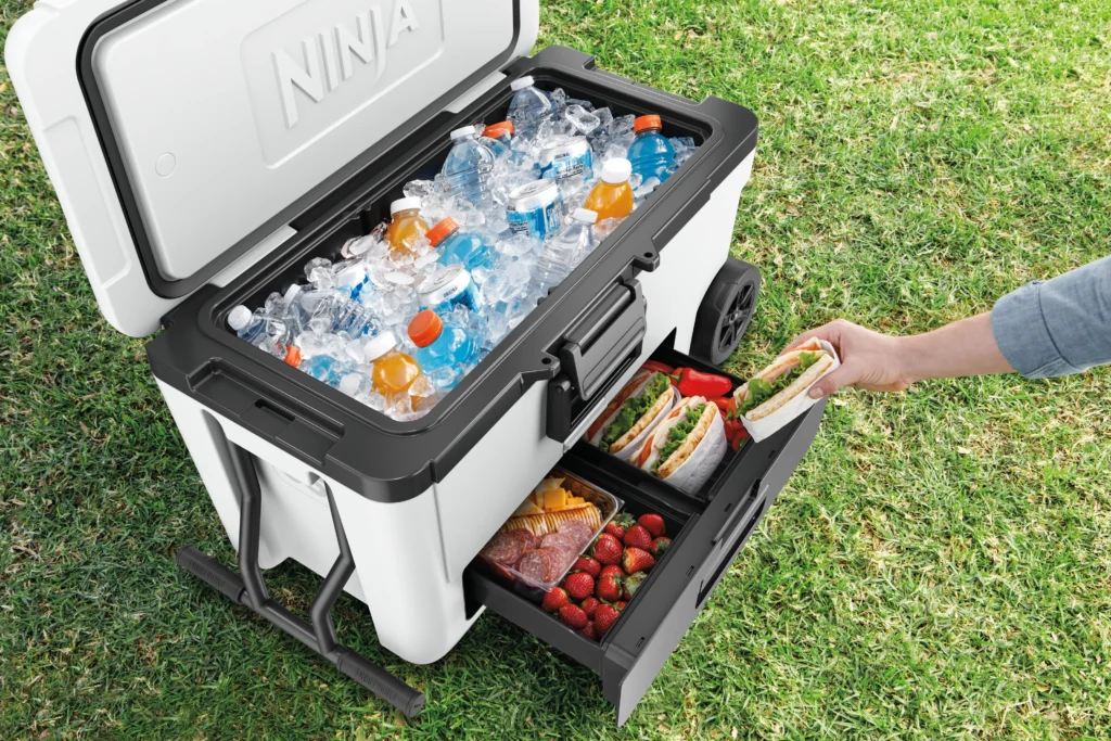 DAT-R_FB265UKWH_InUse_Park_ServingFood_Woman